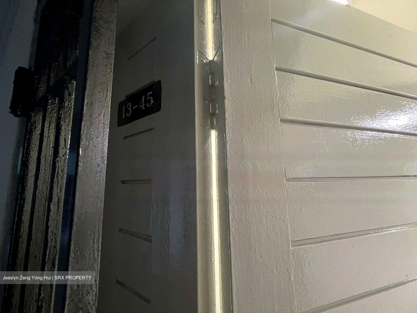Dunearn Road (D11), Condominium #486496911